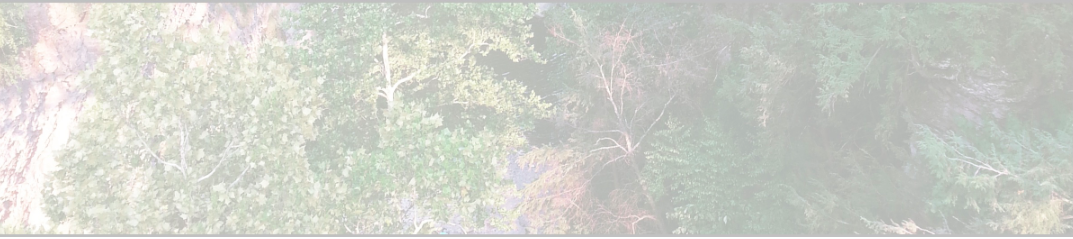 Screen Shot 2016-05-26 at 7.33.59 AM